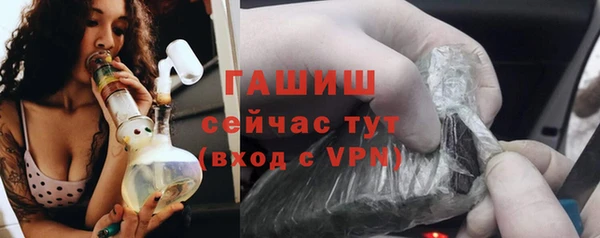 прущие грибы Вяземский
