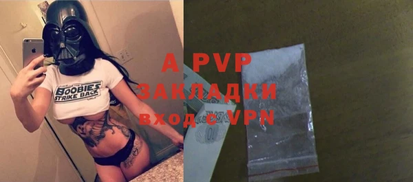прущие грибы Вяземский