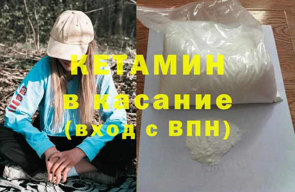 прущие грибы Вяземский
