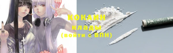 прущие грибы Вяземский
