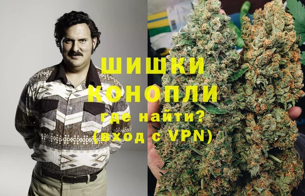 прущие грибы Вяземский