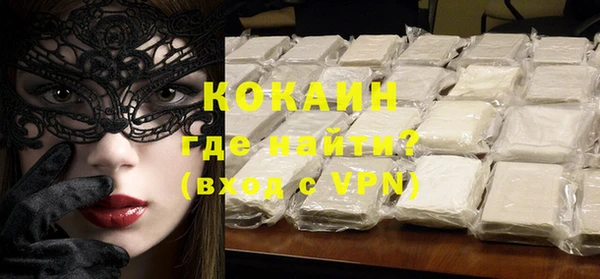 прущие грибы Вяземский
