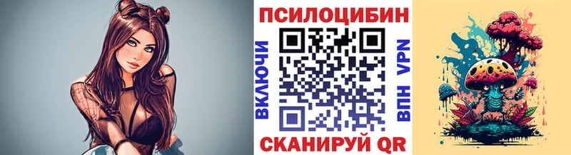 гидра ссылка  Зеленоградск  Псилоцибиновые грибы GOLDEN TEACHER  сколько стоит 