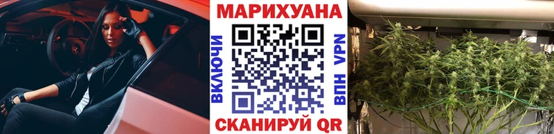Бошки марихуана VHQ  где купить   omg ТОР  Зеленоградск 